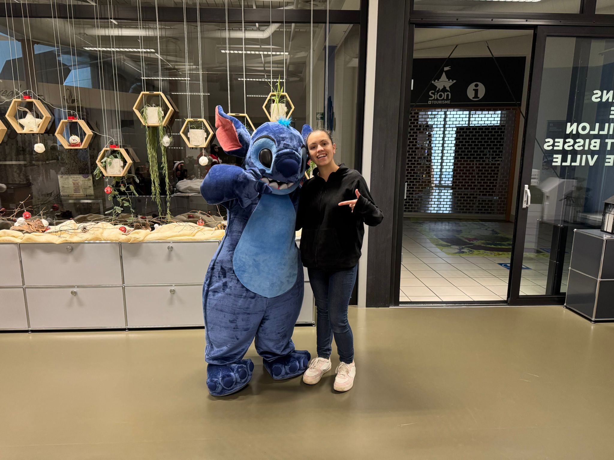 stich